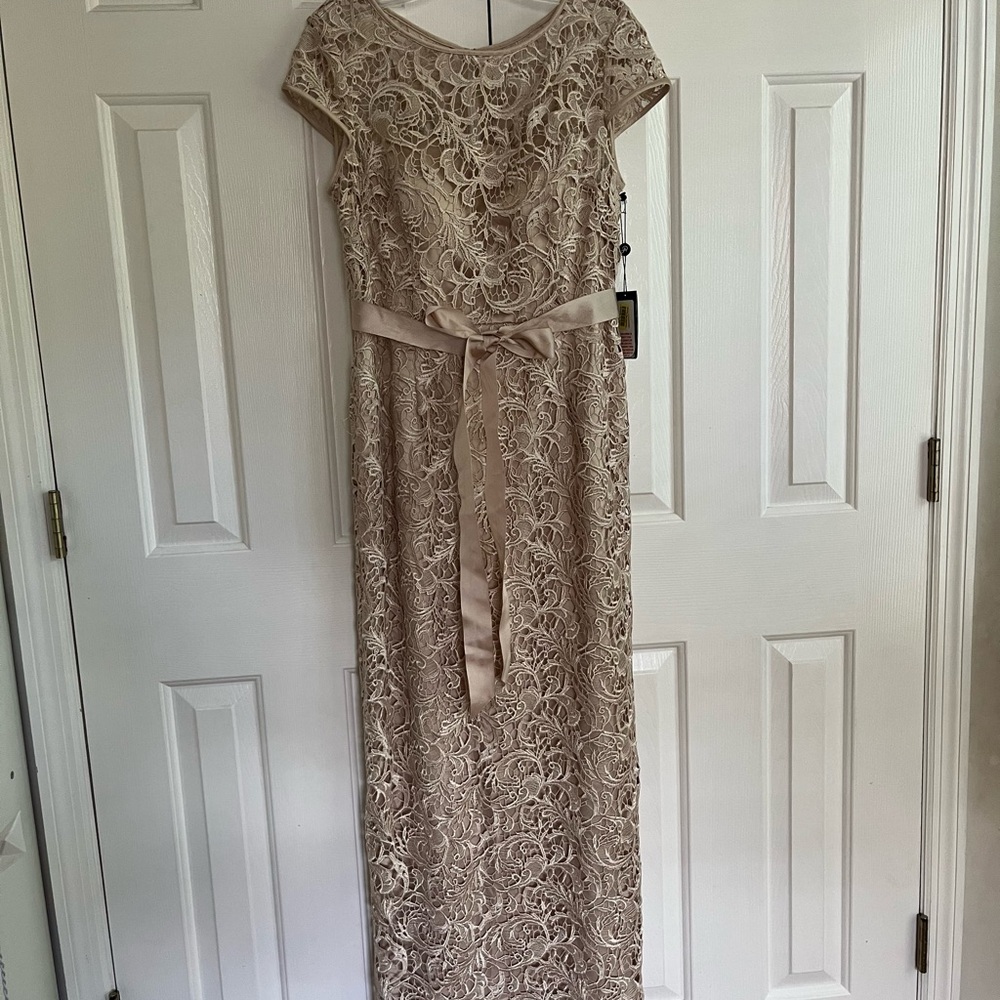 NWT Adrianna Papell Champagne Illusion Lace Dress